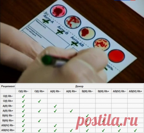 ЧТО НУЖНО ЗНАТЬ О ГРУППАХ КРОВИ....