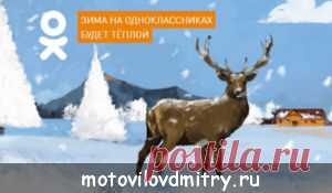 Как восстановить страницу в одноклассниках после удаления.