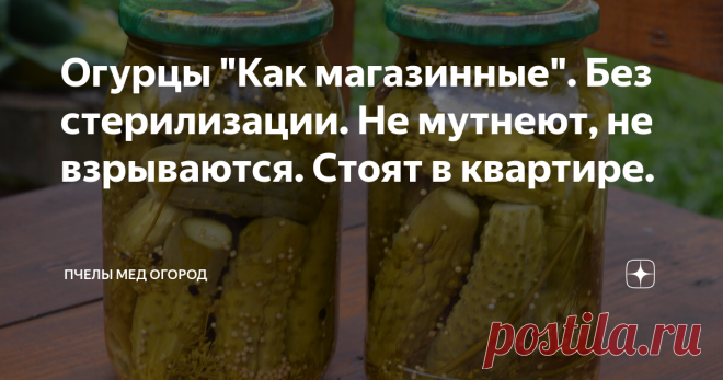 Огурцы 
