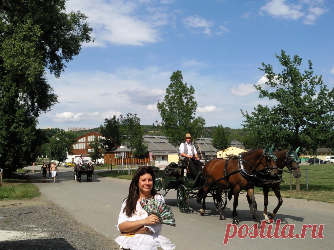Прогулки по Праге на общественном транспорте и пешком без проф.экскурсий, но с рассказами, показами, фотосессией и ответами на все вопросы - 20 евро/час с чел. либо 100 евро/день за компанию от 2 человек: встреча и проводы к Вам в отель, квитанция об оплате перед выездом на прогулку.