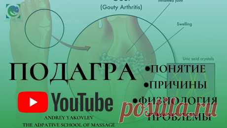ПОДАГРА. Понятие. Причины появления. #ФИЗИОЛОГИЯ проблемы. Андрей Яковлев Вашему вниманию тема ПОДАГРЫ.❓Данный вопрос изучается на семинаре школы "КЛАССИЧЕСКИЙ МАССАЖ ПРИ РАЗЛИЧНЫХ ЗАБОЛЕВАНИЯХ"💯 Из видеоролика Андрея Яковлева вы ...