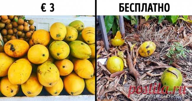 Девушка из России побывала в Гваделупе, и ей есть что рассказать об островах Карибского моря (Спойлер: овощи там лучше не есть) . Милая Я