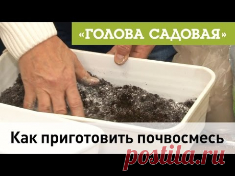 Голова садовая - Как приготовить почвосмесь