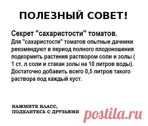 Чтобы не потерять эту информацию, жмите 