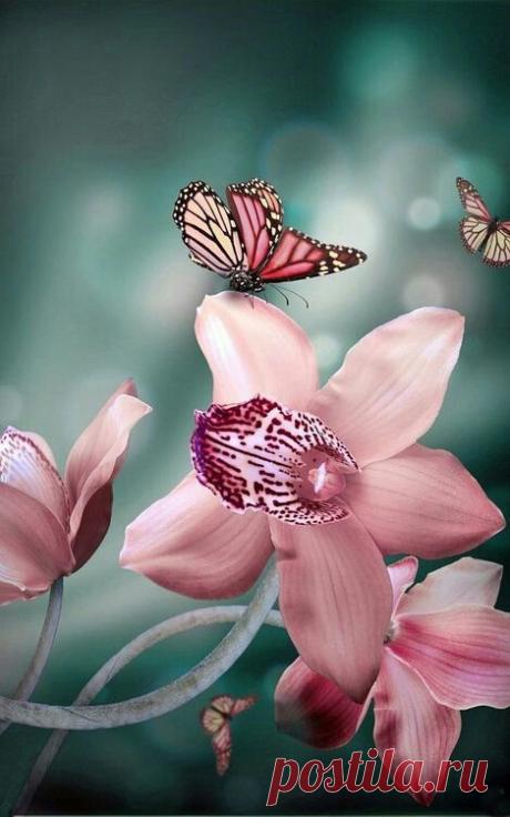 The color matching with the orchid and the butterflies is just breathtaking. | Graziella приколол(а) это к доске Orchidee e phalaenopsis