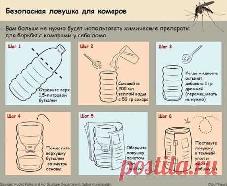 ЛОВУШКА ДЛЯ КОМАРОВ - экологично и без затрат!!!