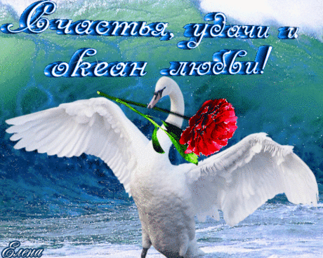 Счастья , удачи и океан любви !