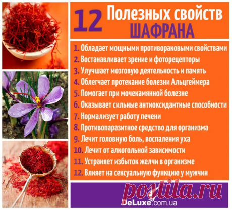 12 полезных свойств шафрана