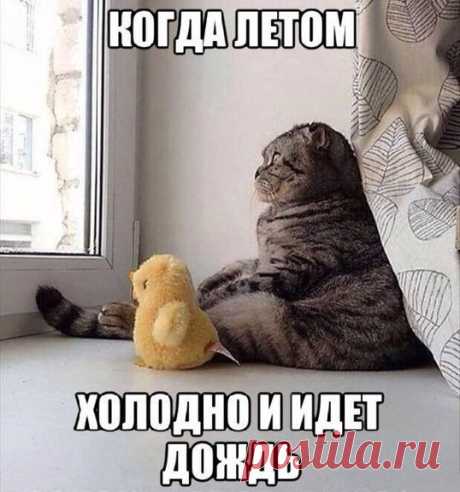 Редкие кадры - Группы Мой Мир