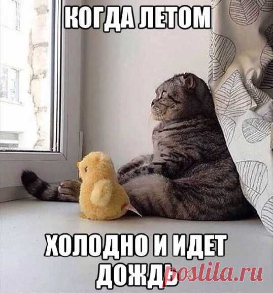 Редкие кадры - Группы Мой Мир