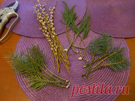 Черенки, Саженцы, Сеянцы...Новый сезон 13г.
40 фото