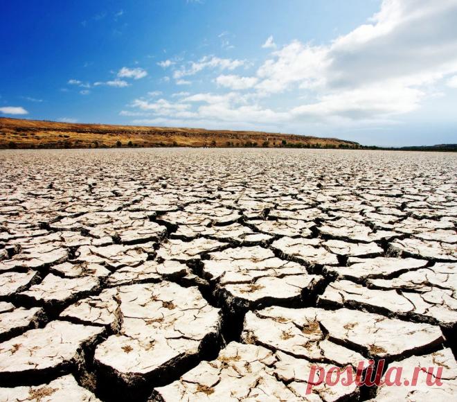 Фотографии пустыни и засухи