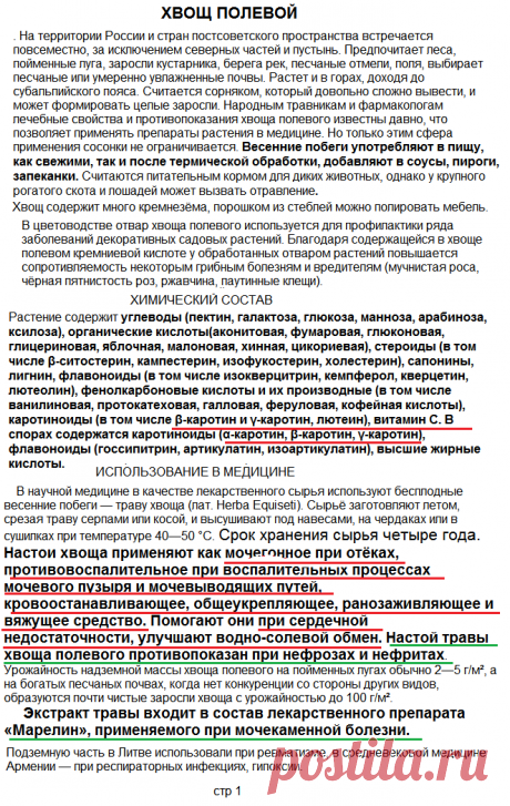 ХВОЩ ПОЛЕВОЙ. стр-1