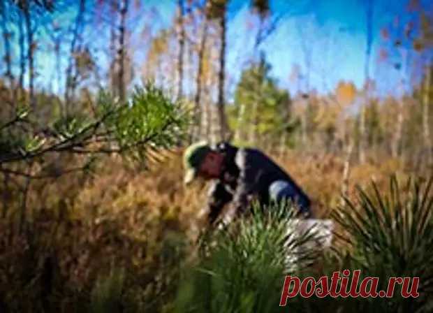 Даже страшно взять в руки - Моя семья. Счастлив тот, кто счастлив у себя дома! - Медиаплатформа МирТесен