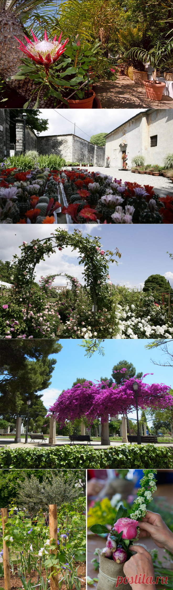 5 Eventi Imperdibili in Fiore Primavera | DALANI MAGAZINE
