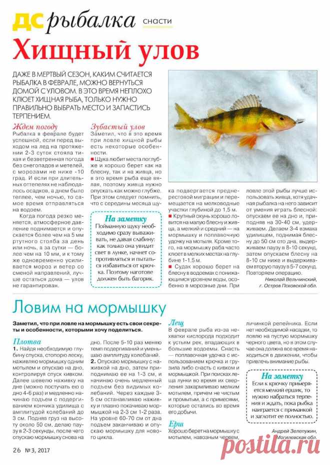 Хищный улов. Ловим на мормышку