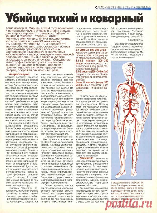 Атеросклероз убийца тихий и коварный