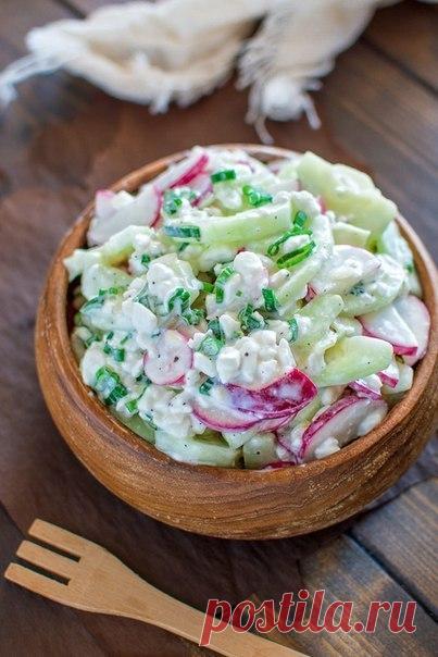 Салат из огурца с редиской и зеленым луком / Логика моды