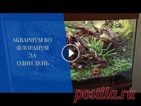 Аквариум во флорариум за один день #florarium​​​​ #terrarium​​​​ #florariumplants​​​​ #флорариум​​​​ #террариум​​​​ #флорариумплантс Коротенькое видео, посвященное, как быстро и минимал...