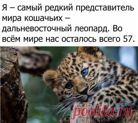 Хочу всё знать