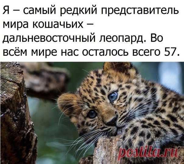 Хочу всё знать