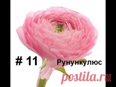 Ранункулюс из фоамирана, Лариса Аптриева, МыловароФФ