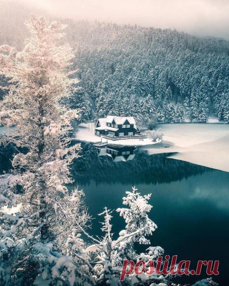 #Болу@discoverygroup