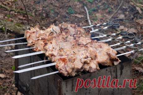 38 рецептов шашлыка - из мяса, рыбы и даже картошки