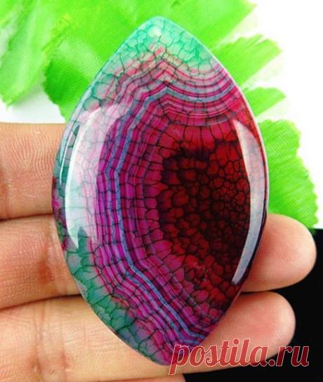 YGMdD9c6Jco.jpg (486×575)