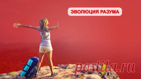 ЭВОЛЮЦИЯ РАЗУМА | Дзен