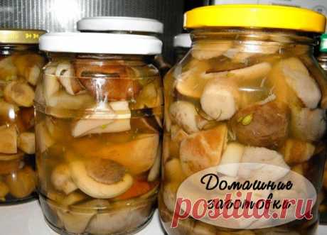 #грибы_любимые

МАРИНОВАННЫЕ ПОДОСИНОВИКИ

Подосиновики отличаются одной интересной чертой, которую нужно обязательно учитывать при проведении их обработки – они способны менять свой цвет во время разделения на отдельные дольки мякоти. Поэтому, если Вы хотите, чтобы во время приготовления грибы сохранили привлекательный внешний вид, необходимо заранее развести в простой холодной воде немного уксуса либо соли и поместить в нее их сразу же после того, как обрежете.

Состав:
...