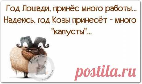 Новогодние фразочки со смыслом :) | Сайт Союза Юмористов