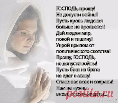 Бабушки контакта