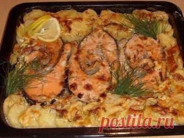 Запекаем рыбу - 6 рецептов

1. Обалденная вкусная запеканка картофельная с рыбкой

Получается изумительная хрустящая сырная корочка! И рыбка, и картошка в сливках со специями приобретают нежный пикантный вкус! Быстро, легко и вкусно! Рецепт для уютного семейного ужина, все будут довольны и сыты.

Ингредиенты:

- 5-6 картофеля
- 500 г рыбы
- 2 помидора
- 1 большая луковица
- сыр
- зелень
- сливки

Приготовление:

Многие соблюдают пост, поэтому сливки можно заменить рыбным б...