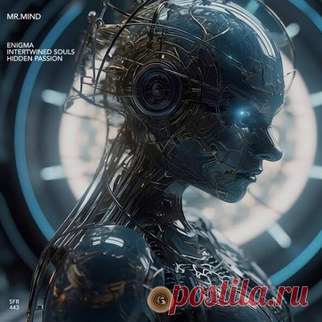 Mr.Mind - Enigma
