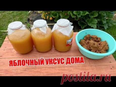 Готовим яблочный уксус. Самый дешевый способ!