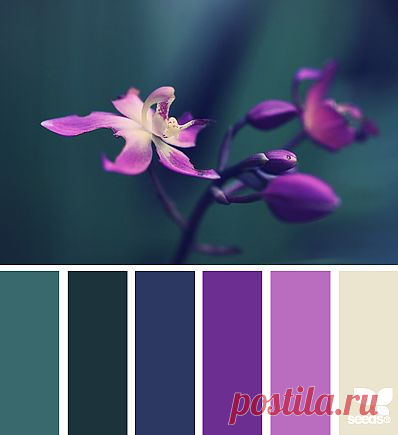 Design Seeds® | find your palette