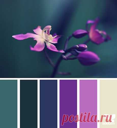 Design Seeds® | find your palette