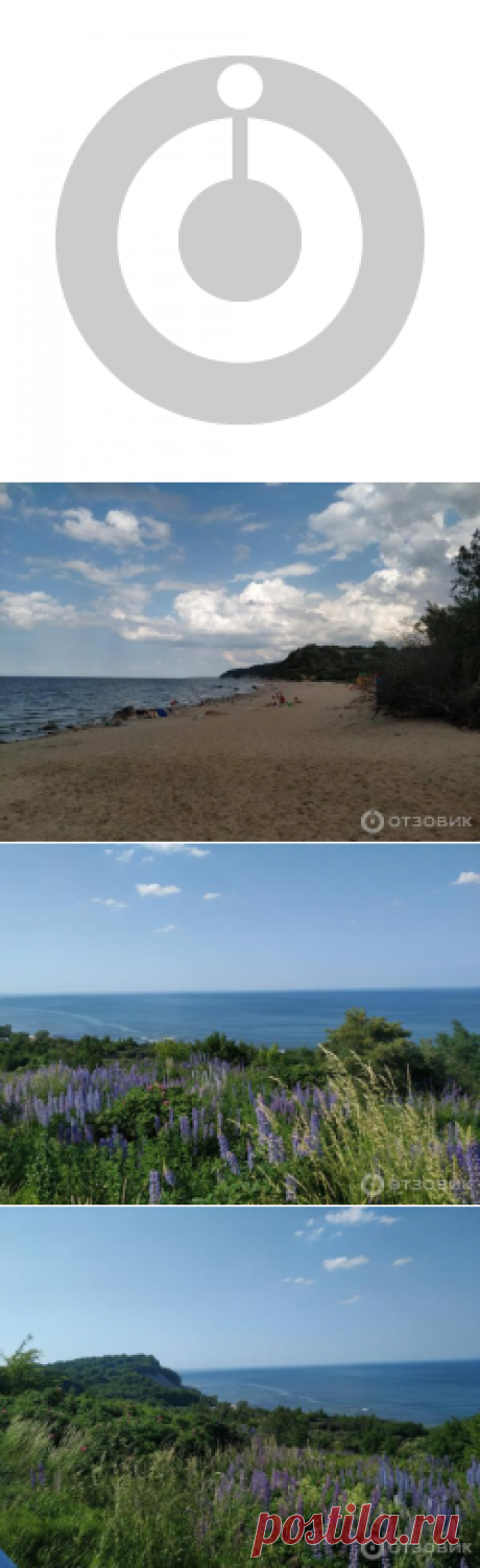 Отзыв о Отдых в поселке Отрадное (Россия, Калининградская область) | Приятный отдых рядом с морем