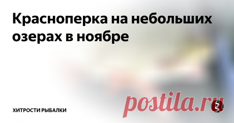 Красноперка на небольших озерах в ноябре Ноябрь, не смотря на свое мягкое похолодание, неумолимо вгоняет рыбу в сон. Большинство времени красноперка будет проводить невдалеке от своих зимовальных ям, так что ловля будет гораздо эффективнее на неглубоких, небольших, закрытых водоемах. В этом месяце следует учитывать целое множество факторов при ловле рыбы, особенно такой как красноперка. В этой статье мы подробно рассмотрим способы ловли