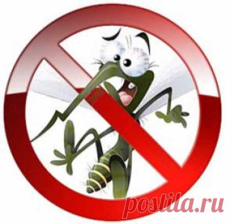 Как приготовить безопасный спрей от комаров.