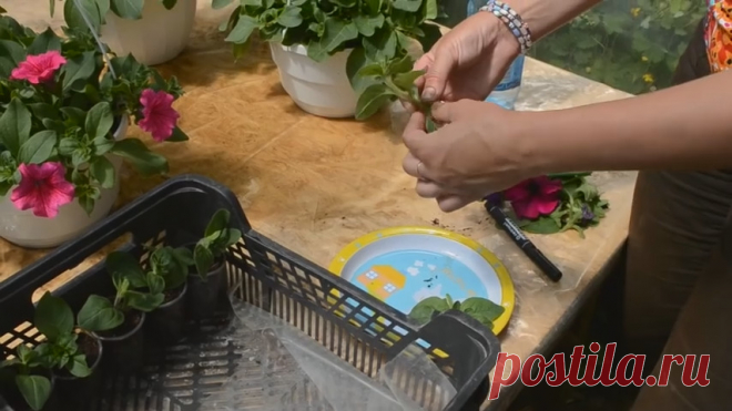 Новости - МирТесен