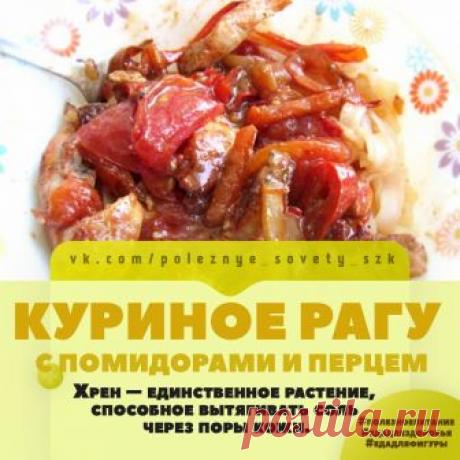 КУРИНОЕ РАГУ С ПОМИДОРАМИ И ПЕРЦЕМ
Ингредиенты:
Куриное филе - 500 г
Помидоры - 8 шт
Сладкий перец - 3 шт
Показать полностью…