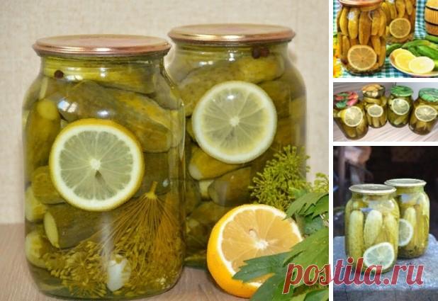 Очень вкусные огурчики «Пражские» Огурчики получаются сладкие ,мои детишки кушают их с удовольствием ! Продукты на одну банку объёмом 1 литр: Огурцы ~12 штук небольшие Тонкий кружок лимона Маринад: 0,5 литра воды 20 гр крупной соли 75 гр сахара Лимонная кислота – 0,5 ч.л. На дно банки: 2 зубчика чеснока 2 шт. лаврового листа 2 шт. лист чёрной смородины 1 см корня хрена (я заменяю листом) 1 зонт укропа 3 шт. душистого перца От себя добавляю ещё эстрагон (тархун) и лист вишн...