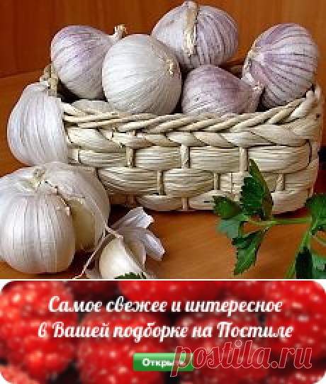 ❀ Кофточки для девочек. Огурцы и кефир. Виртуальное путешествие. Карта тела. Рецепты кетчупа. Хранение чеснока // Кусочек Постилы к чаю! - larisa-gazet@mail.ru - Почта Mail.Ru