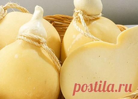 Сыр Качокавалло. Рецепт в домашних условиях с фото