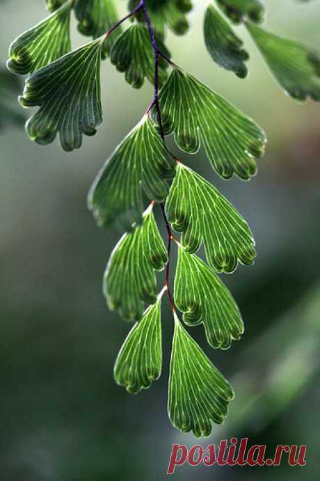 3117517080_6b50e5fa0d.jpg (333×500)