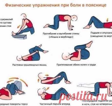 ЧТОБЫ ПОЯСНИЦА И СПИНА НЕ БОЛЕЛИ