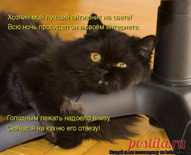 Котоматрица: Круть