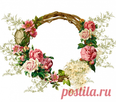 разные красивые элементы для оформления на прозрачном фоне: 13 тыс изображений найдено в Яндекс.Картинках